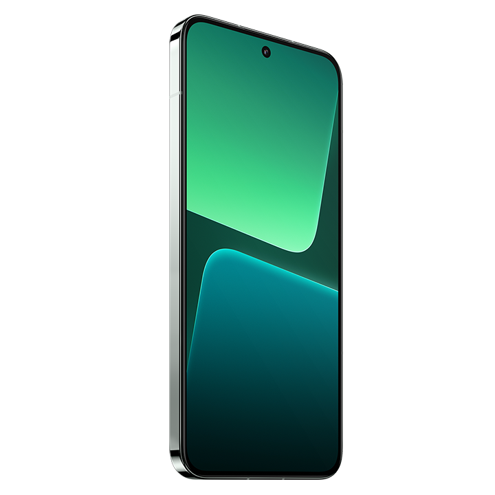 13 (8+256GB) slika proizvoda