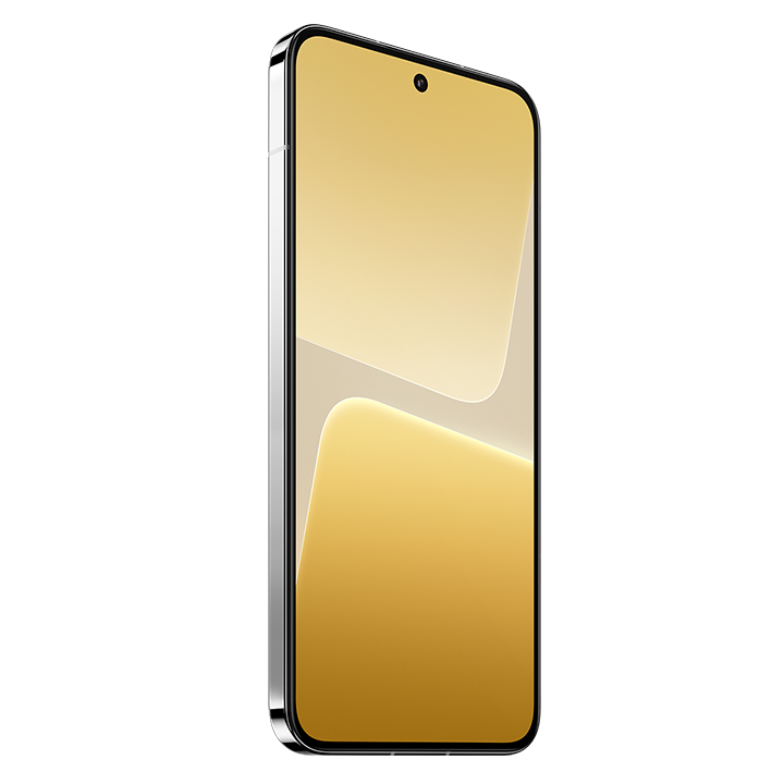 13 (8+256GB) slika proizvoda