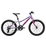 Lauren 1.6 20 H26959/20/29/Purple/Pink slika proizvoda
